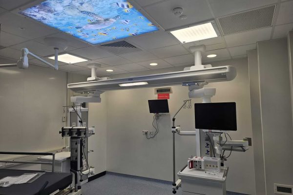 Russells Hall Hospital 1